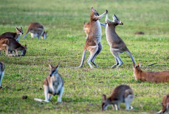 Best places in Australia