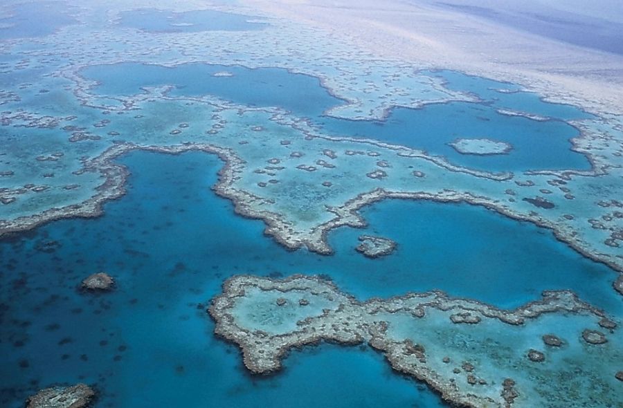 The Great Barrier Reef is closest to the mainland