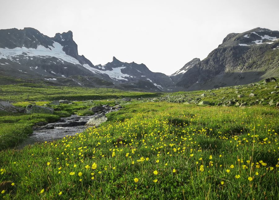 Here is the highest mountain peak in Norway