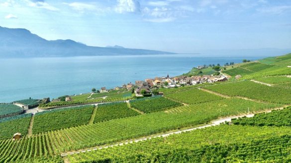 Where to travel for really good wine?