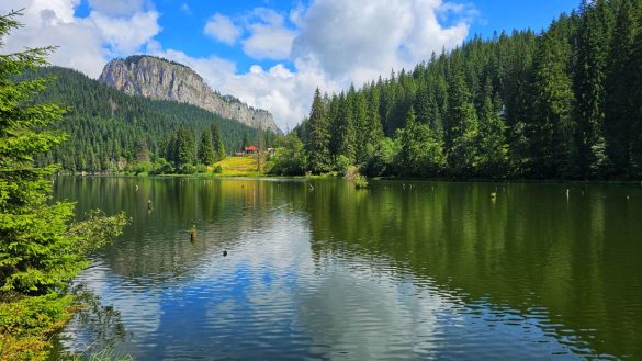 A week in Transylvania