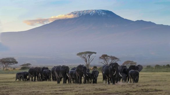 Best places in Tanzania