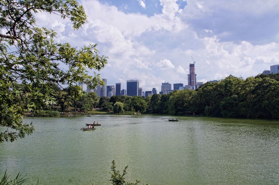 The world's most famous park