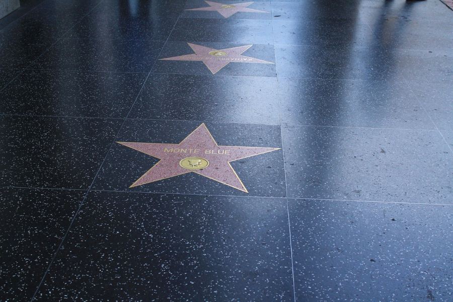 Stars of many celebrities can be seen here