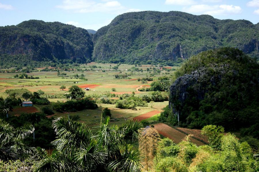 One of the largest tobacco producing regions