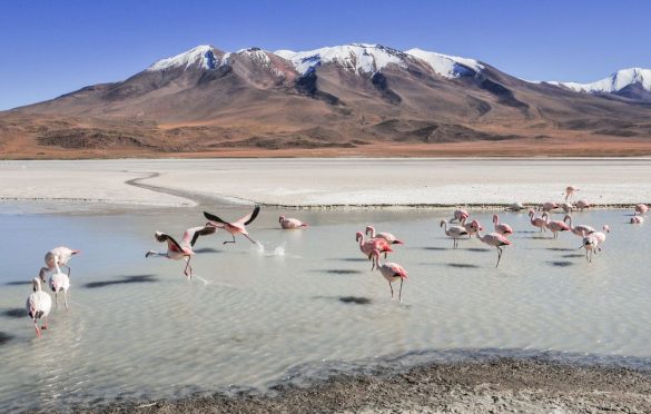 Best places in Bolivia