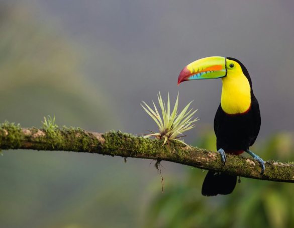 Best places in Costa Rica