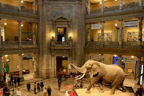 Best Museums in Washington