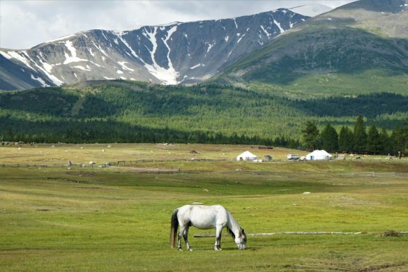 Best places in Mongolia