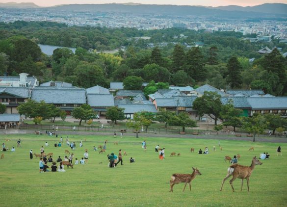 Nara attractions, weather