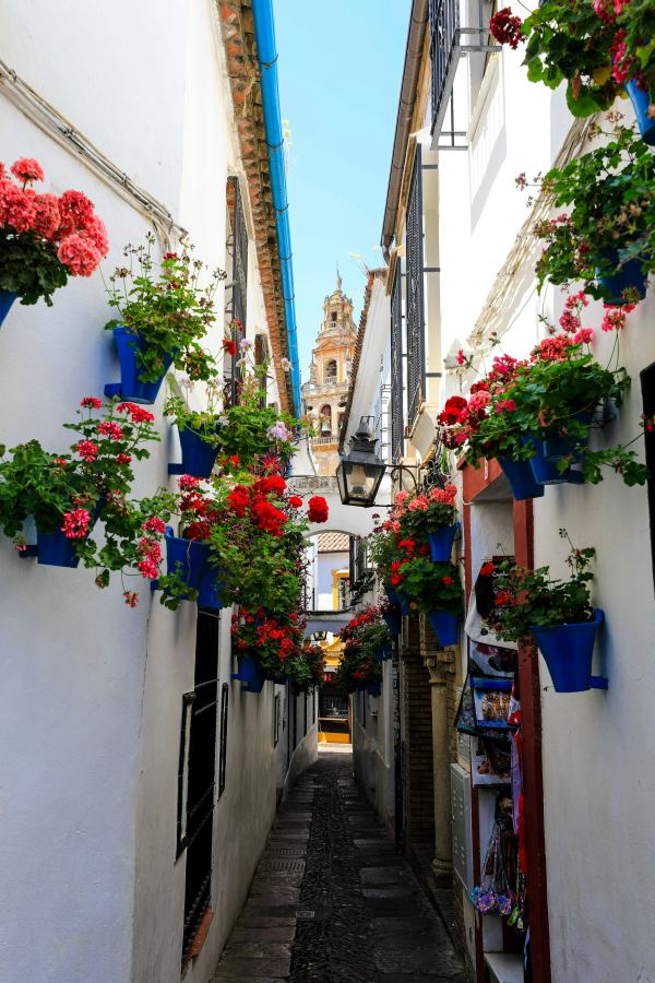 The small street is the most beautiful part of the neighborhood