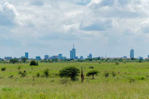 Nairobi attractions, museums, weather