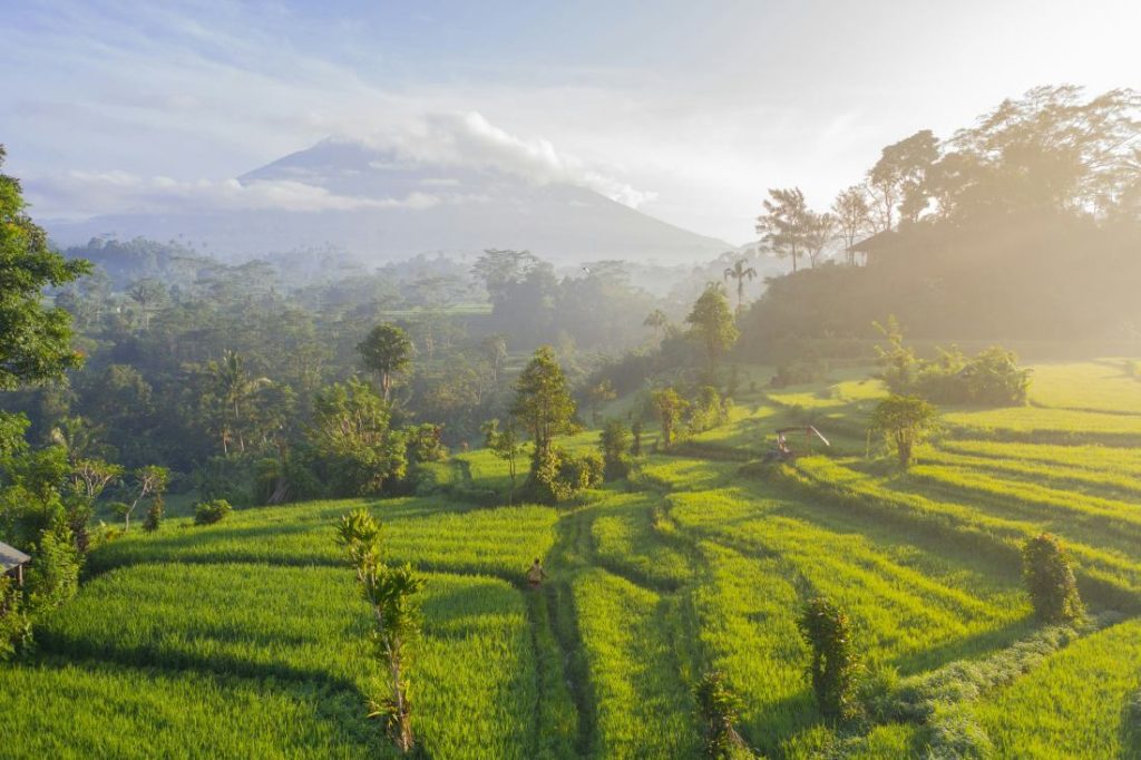 Bali travel guide