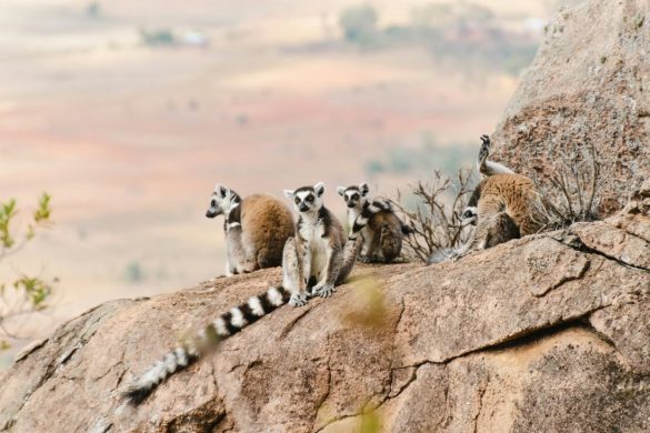 Madagascar attractions