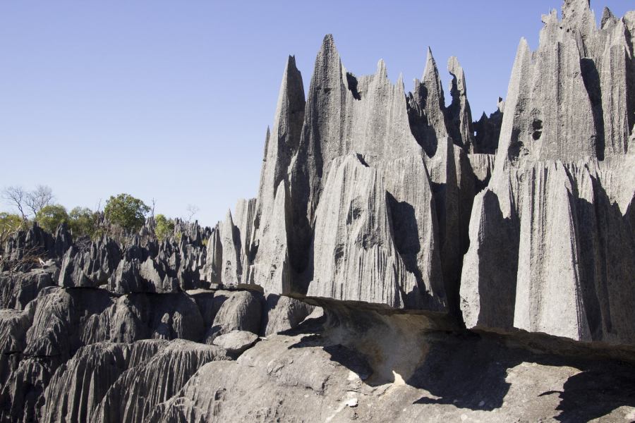 Needle-like rock formations have formed