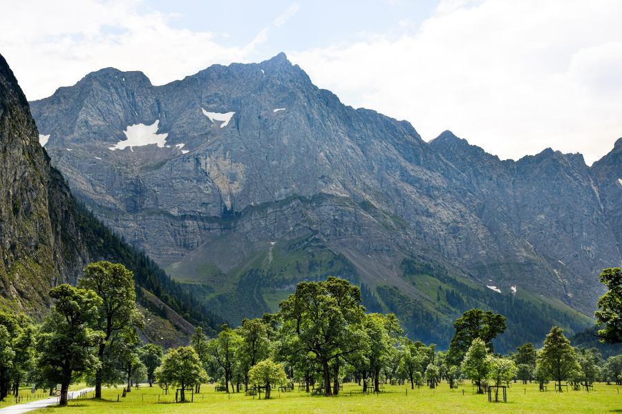 This is the perfect place for anyone who loves to go on outings