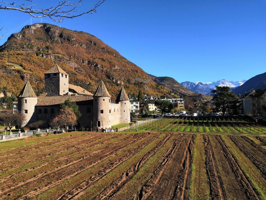 There is a beautiful vineyard surrounding the castle