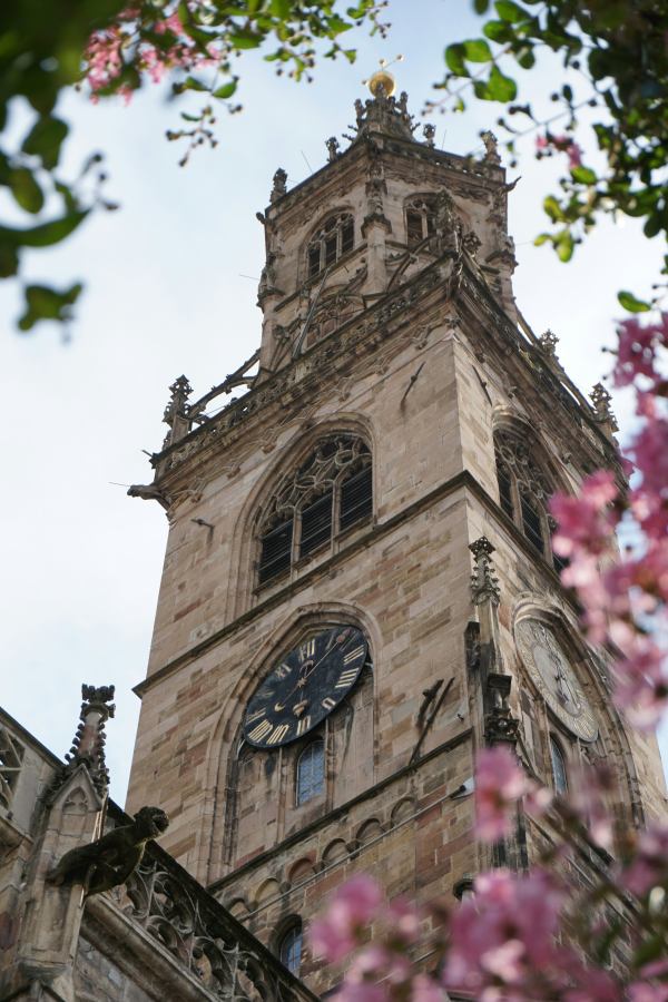 The cathedral's tall tower is visible from a distance