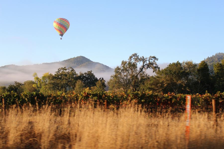 Famous wine region